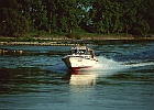 Motorboot bei Donau-km 2329